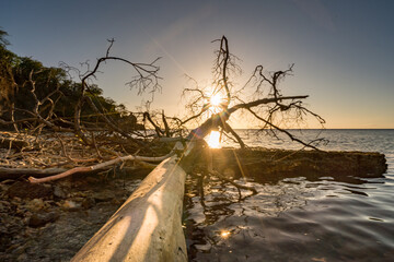 Views around the Caribbean Island of Curacao 