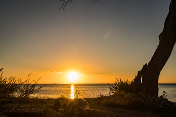Views around the Caribbean Island of Curacao 