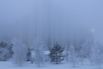 Fototapeta na wymiar Frosted trees in the snowy park on the background of high-rise buildings half hidden by fog.
