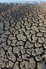 Landscape dried and cracked background. The soil dry land cracked ground surface.