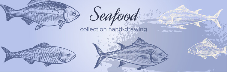 Seafood horizontal banner. Marine fish advertising in hand drawn style