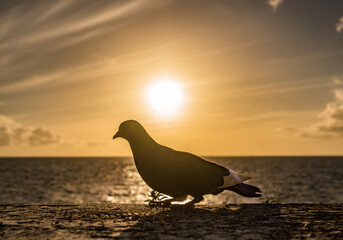 Views around the Caribbean Island of Curacao 