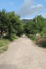 camino