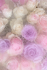 Fototapeta premium beautiful pink rose flowers through the glass with waterdrops background