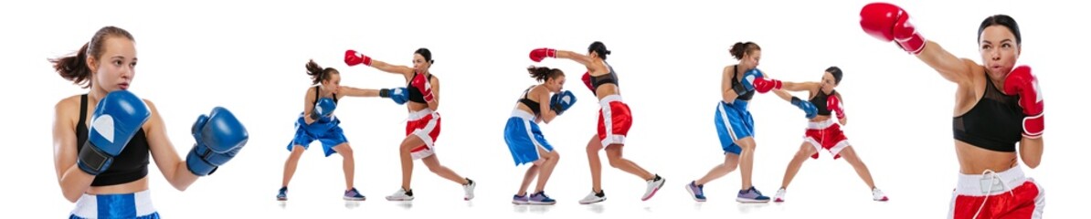 Collage. Two woman professional boxers boxing isolated on white studio background. Couple of fit...