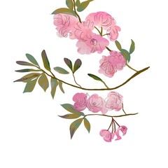 Elegant branch of Azalea flowers, bright spring clipart, floral illustration 