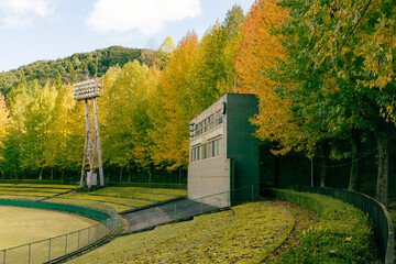 野球場と紅葉