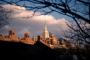 Empire State Building at sunset through branches