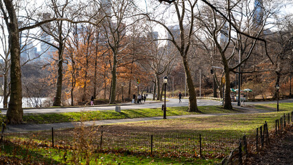 New York Central Park in winter and Fall