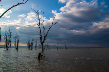 View of a local fisherman wading through the water with a fishing net to catch fish, surrounded by...