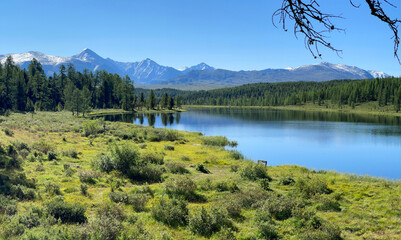 Obraz premium Beautiful landscape in the Altai mountains, Russia