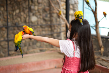 An Asia kid is feeding lovely birds, some birds are on her hand and one is on her head.