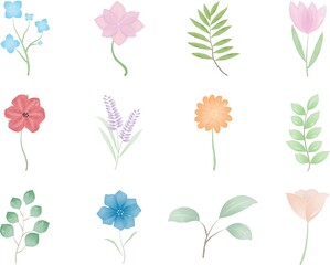 Obraz premium Set of flowers