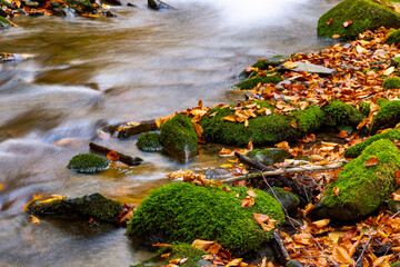 Fototapeta na wymiar Mountain river with autumn leaves