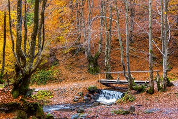 Beautiful Waterfall Shipot close-up in the autumn forest