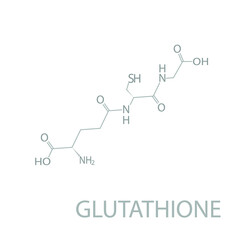 Glutathione molecular skeletal chemical formula.	