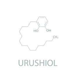 Urushiol molecular skeletal chemical formula.	