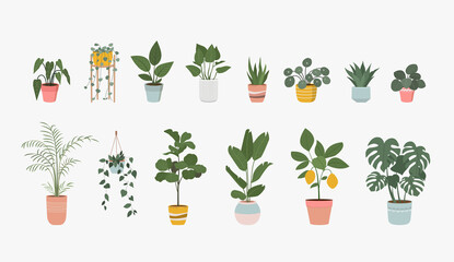 Big set of Houseplant in pot isolated.  Vector flat style illustration