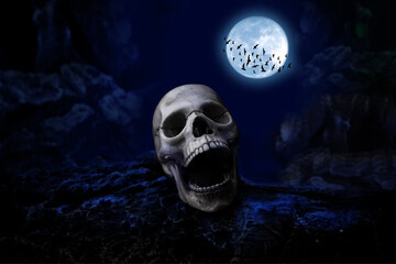  Skull on the Moon Rock Halloween night