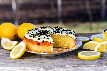 Lemon cake .Lemon almond gluten free cake with cream cheese frosting. Ketogenic diet dessert