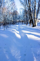 Splendor of Russian snowy winter