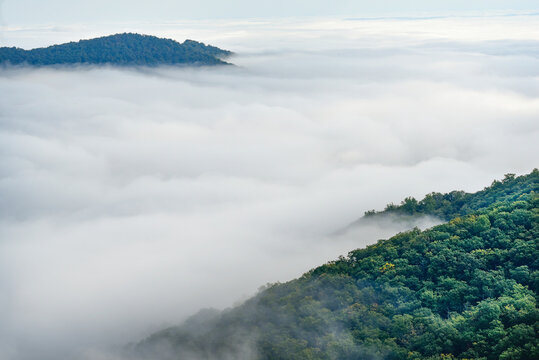 Valley fog, Shenandoah national Park, Virginia