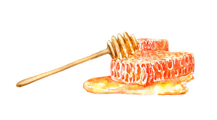 Bee honeycombs and a spoon.Food picture.Watercolor hand drawn illustration.
