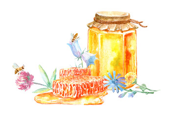 Honey, honeycombs, bees and flowers.Food picture.Watercolor hand drawn illustration.