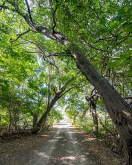 Fototapeta premium views around the Caribbean island of Curacao