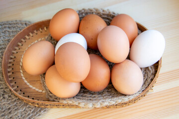 Various chicken eggs