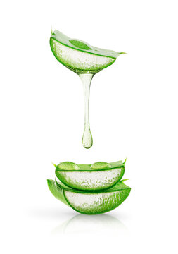 Aloe vera gel dripping over sliced leaves isolated on white background. Skin and body care