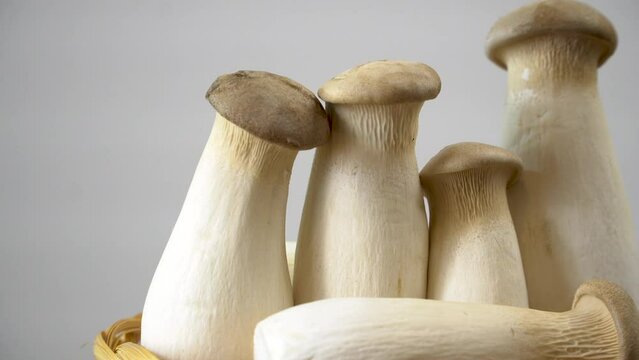 Group of five Eringe mushrooms on a white background. Fresh King Oyster Mushroom on a fleshy leg and a small cap.
