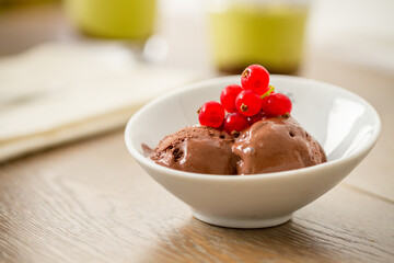Chocolate Ice Cream with Blackcurrant. High quality photo.