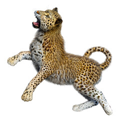 3D Rendering Big Cat Leopard on White