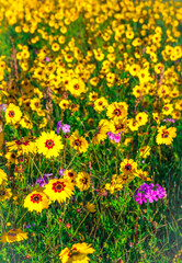 Fototapeta premium creative