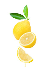 Lemon juice or lemon essential oil dripping isolated on white background.