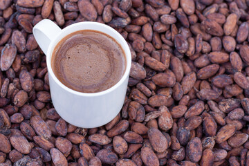 cup of hot chocolate cocoa drink with beans