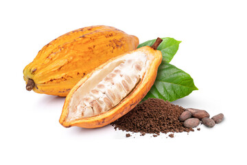 Cocoa bean and powder on white