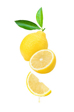 Lemon juice or lemon essential oil dripping isolated on white background.