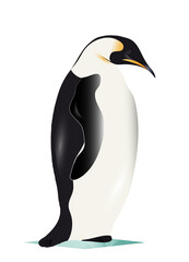 zauberhafter gezeichneter Pinguin