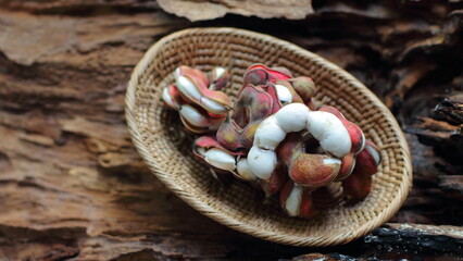 Manila tamarind, Pithecellobium dulce,  Pithecellobium dulce, on wooden background