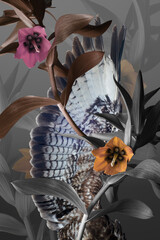 hawk wing, flowers and gray foliage on a gray background, abstract collage.