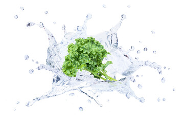 Kale in water splash