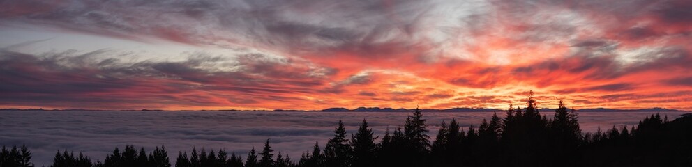 Obraz premium Canadian Nature Panorama View of Evergreen Trees on a mountain above the clouds. Dramatic Winter Sunset. Taken at Cypress Lookout, Vancouver, British Columbia, Canada. Panoramic Background