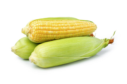 corn on the cob on white