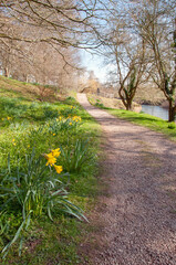Fototapeta premium Springtime footpath in the park