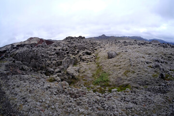 Mit verschiedenen Moosen überwachsenes Lavafeld Berserkjahraun bei Stykkisholmur