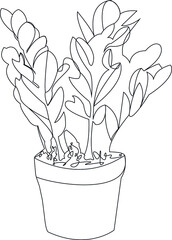Vector plant in a pot in line art technique .