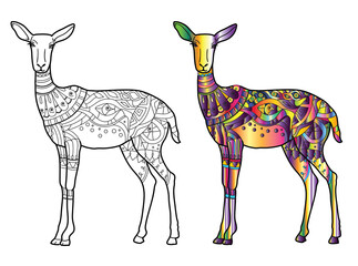 Coloring page of antelope. Colorless and color samples for adult antistress coloring book.