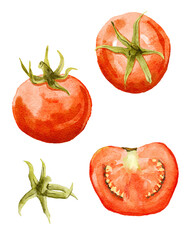 Watercolour illustration of tomato, tomato slice, stalk isolated on white background
